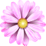 hero flower small 2 1